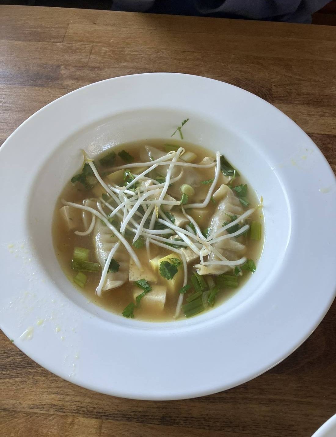 Dumpling soup with tofu, bean sprouts and cilantro